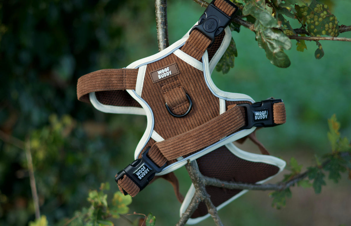 Forest Paws Adjustable Tough Harness