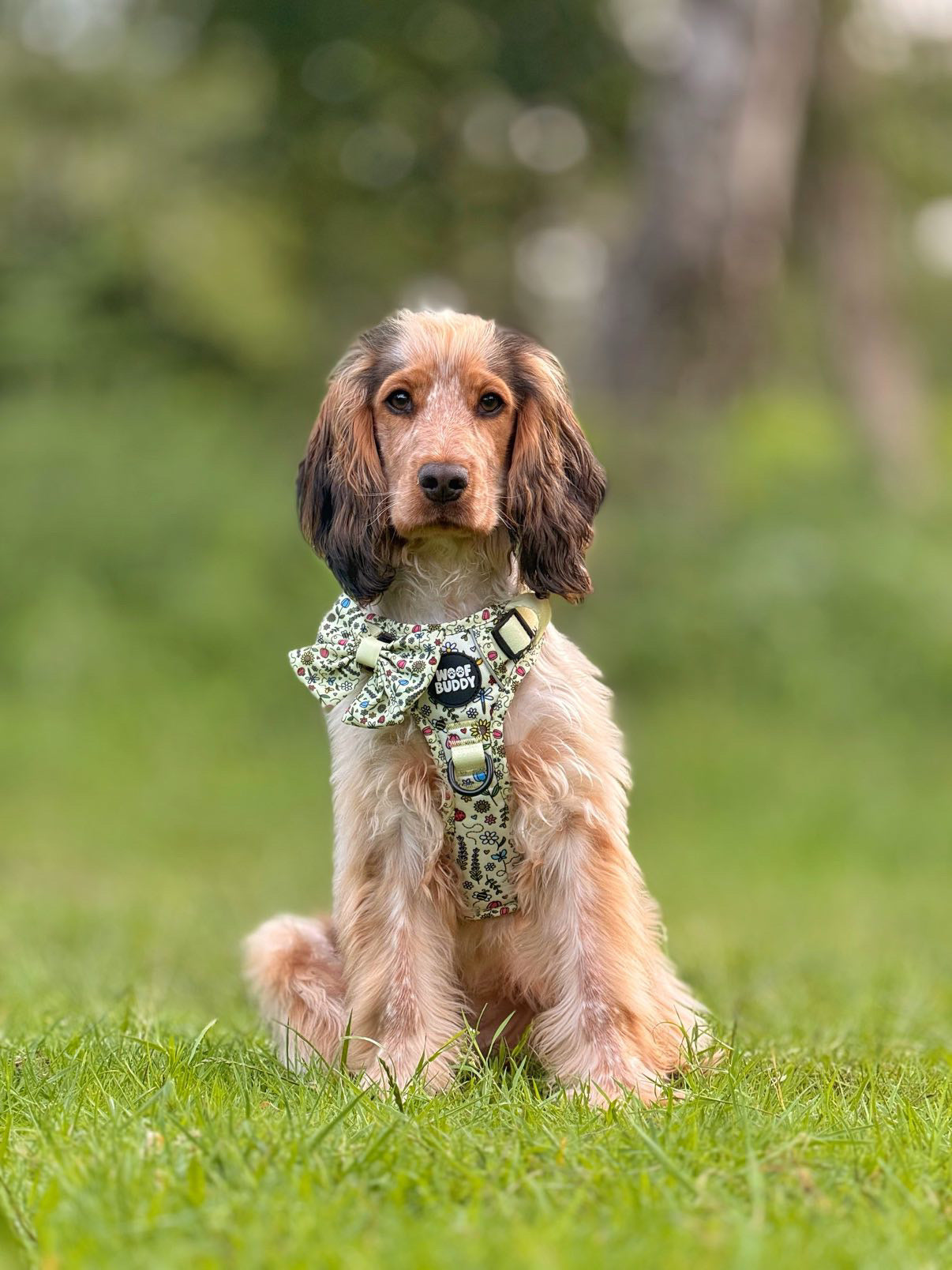 Buzzy Blooms Tough Harness