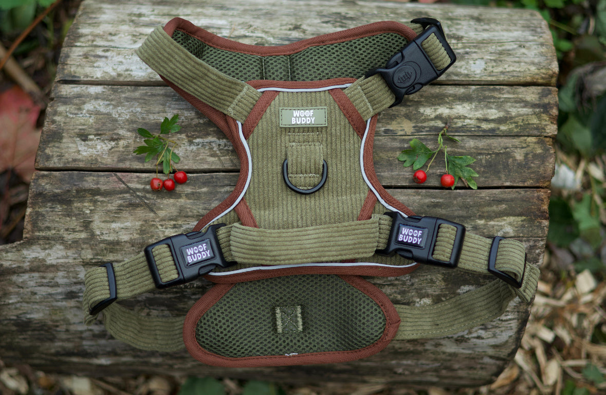 Trail Buddy Adjustable Tough Harness