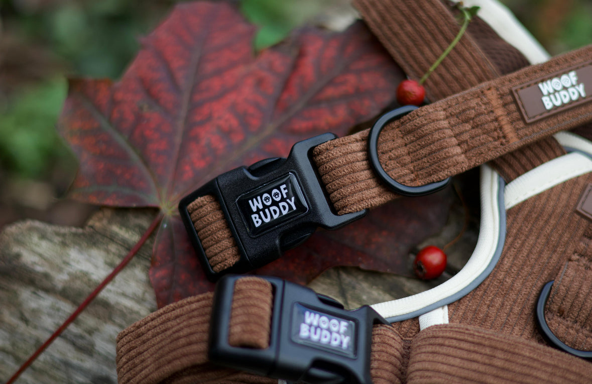 Forest Paws Collar