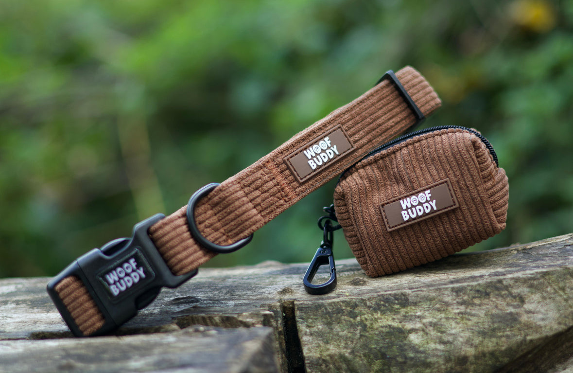 Forest Paws Collar