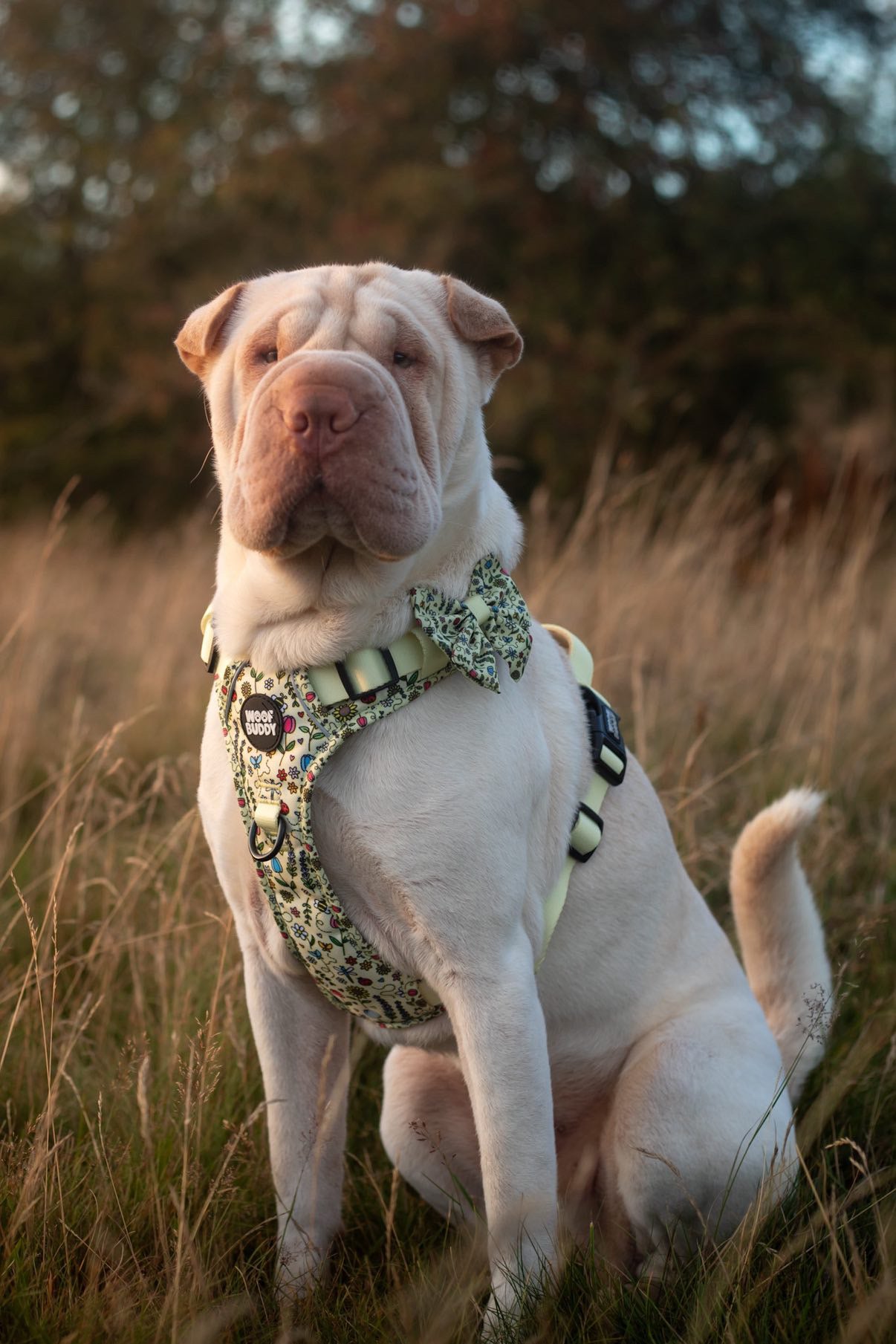 Buzzy Blooms Tough Harness