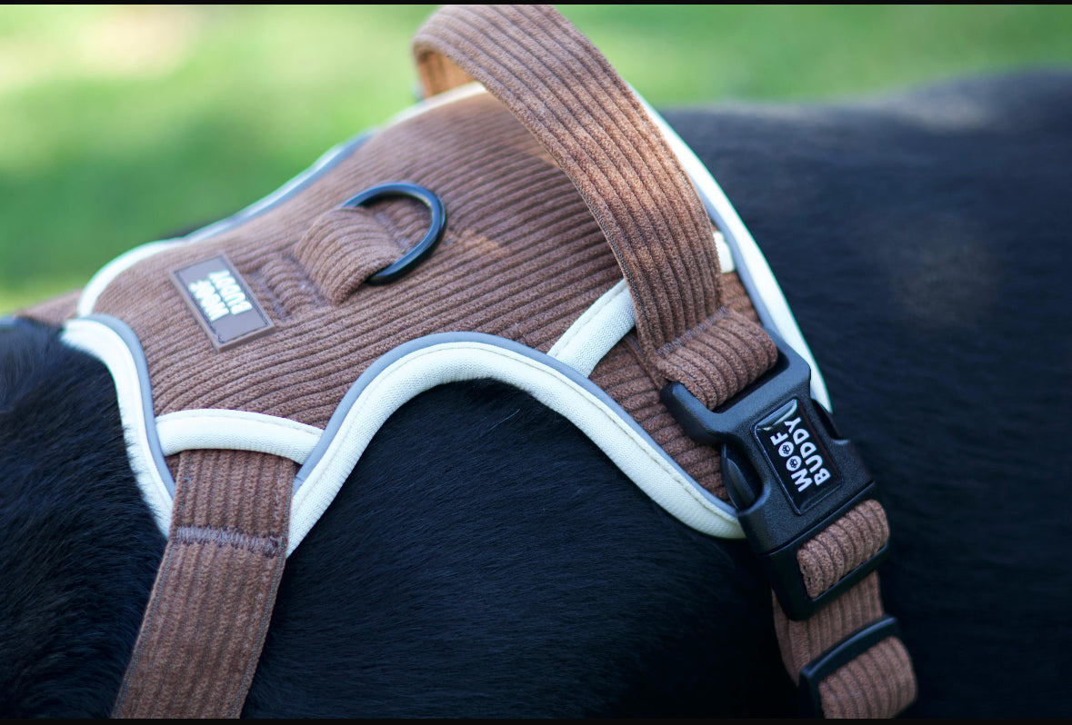 Forest Paws Adjustable  Tough Harness