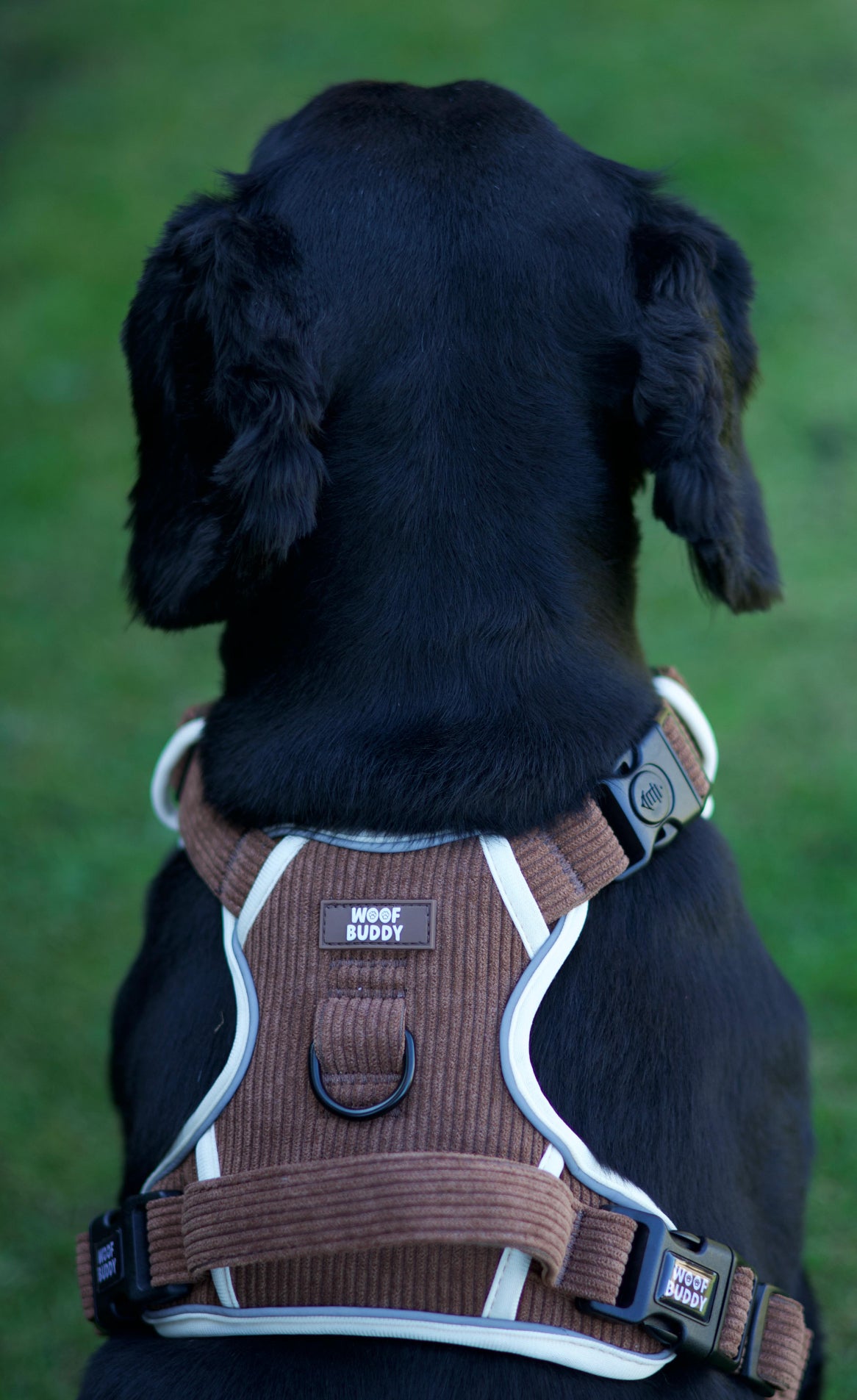Forest Paws Adjustable  Tough Harness