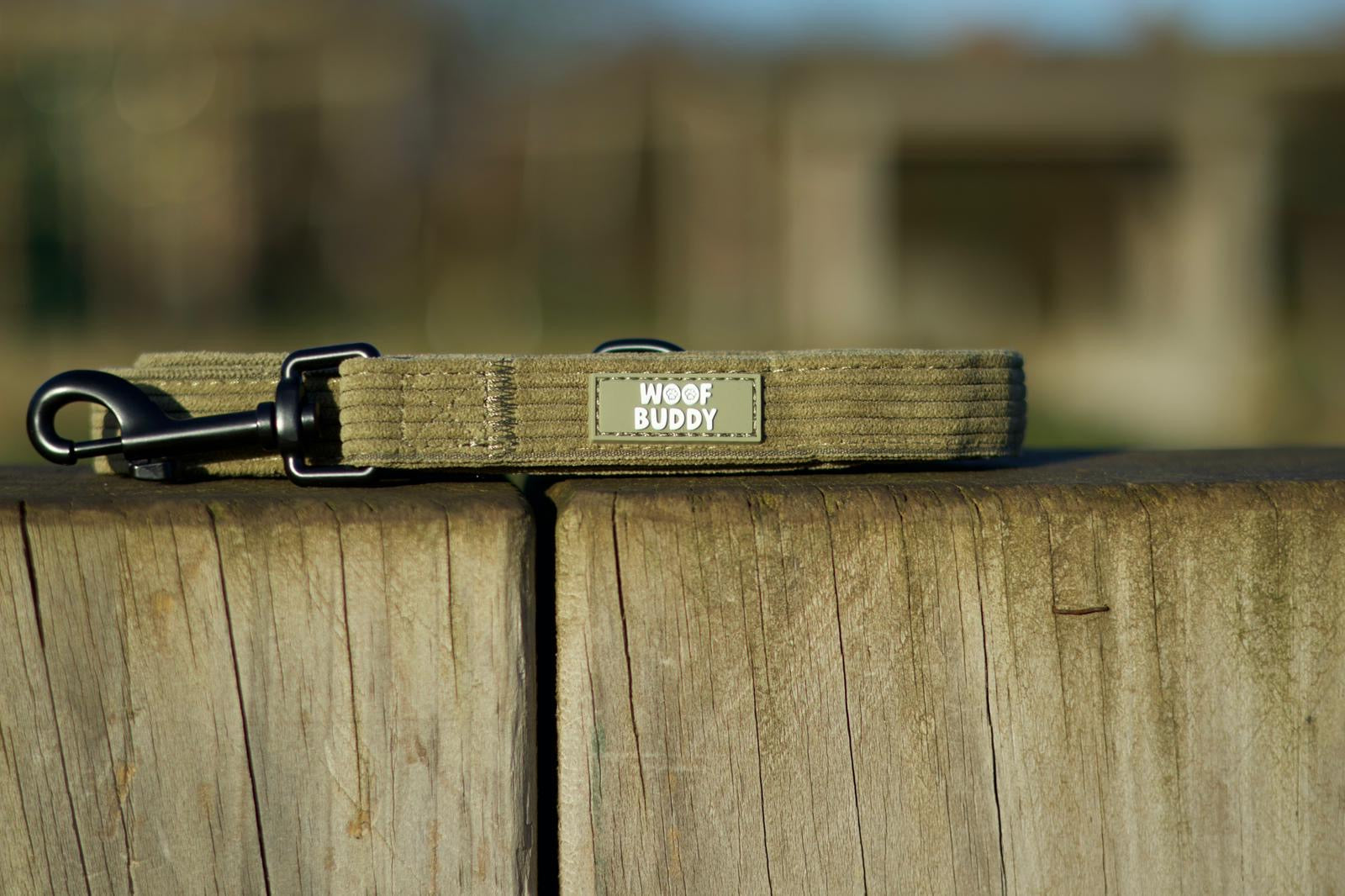 Trail Buddy Lead