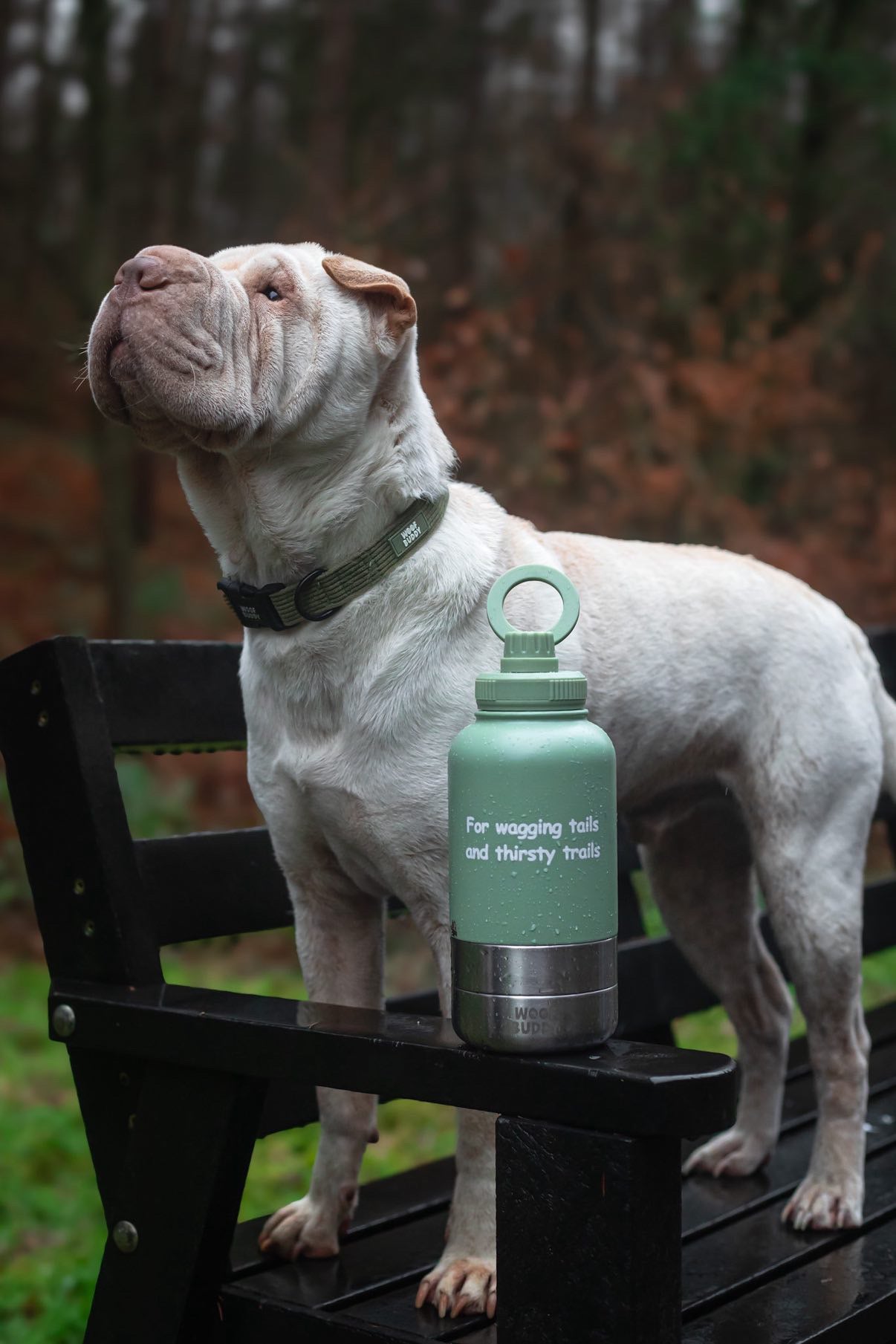 Buddy Bottle - 3 in 1 Water Bottle