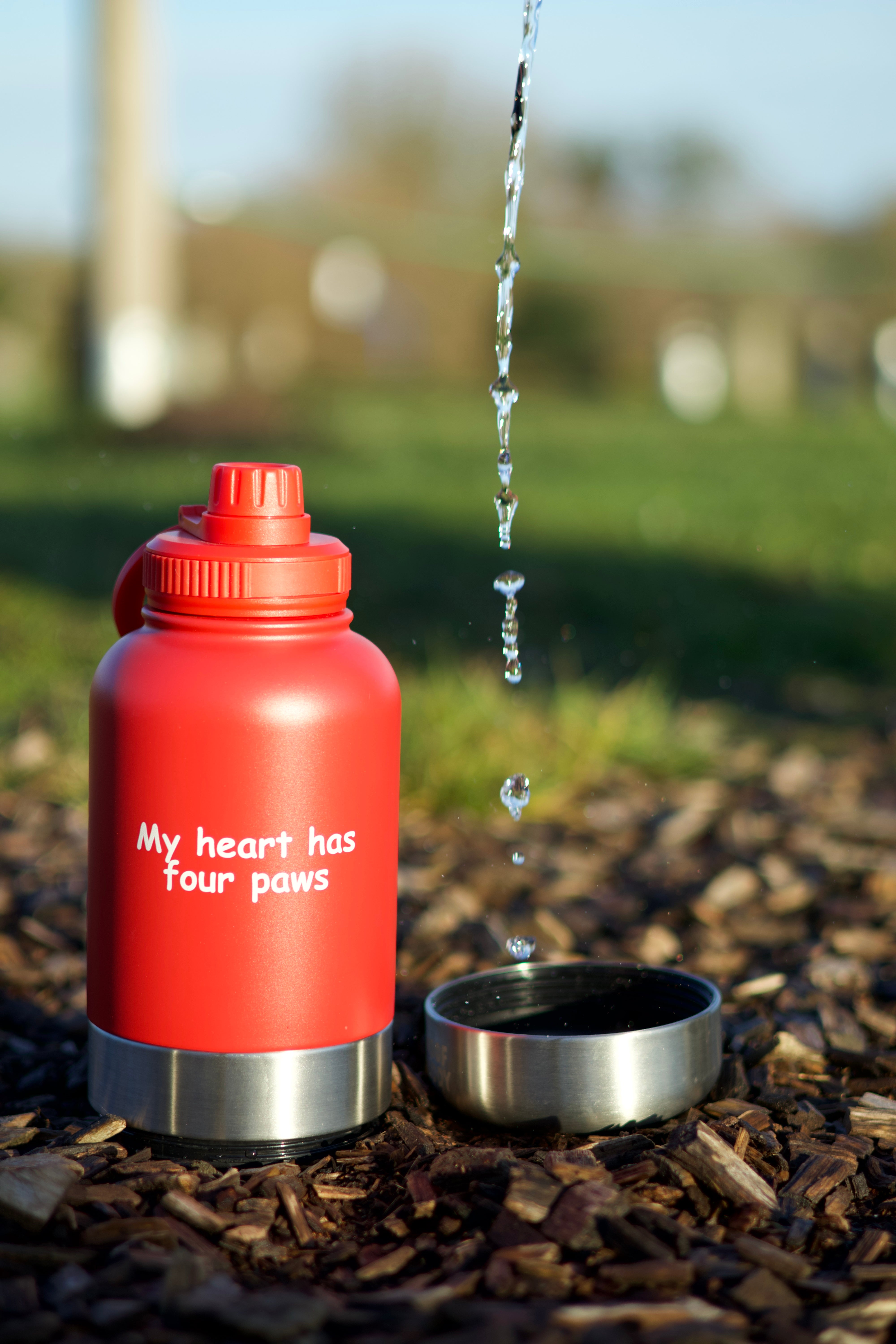 Buddy Bottles - 3 in 1 Water bottles